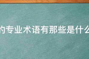 篮球训练动作专业术语有哪些呢